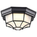 Bulk Head Nuvo 62-1400 LED Spider Cage Fixture - Black Finish with Frosted Glass Nuvo