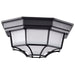 Bulk Head Nuvo 62-1400 LED Spider Cage Fixture - Black Finish with Frosted Glass Nuvo