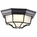 Bulk Head Nuvo 62-1400 LED Spider Cage Fixture - Black Finish with Frosted Glass Nuvo