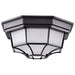 Bulk Head Nuvo 62-1400 LED Spider Cage Fixture - Black Finish with Frosted Glass Nuvo