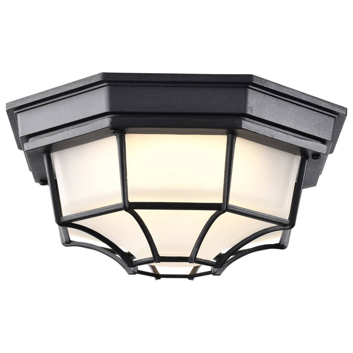 Bulk Head Nuvo 62-1400 LED Spider Cage Fixture - Black Finish with Frosted Glass Nuvo