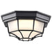 Bulk Head Nuvo 62-1400 LED Spider Cage Fixture - Black Finish with Frosted Glass Nuvo
