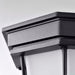 Bulk Head Nuvo 62-1400 LED Spider Cage Fixture - Black Finish with Frosted Glass Nuvo