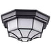 Bulk Head Nuvo 62-1400 LED Spider Cage Fixture - Black Finish with Frosted Glass Nuvo