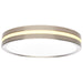 Flush Mount Nuvo 62-1690 11 Inch Surface Mount with Night Light - 5 CCT Selectable - Brushed Nickel Finish Nuvo