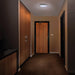 Flush Mount Nuvo 62-1693 15 Inch Surface Mount with Night Light - 5 CCT Selectable - Matte Black Finish Nuvo