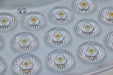 Flush Mount Nuvo 62-1695 Selene - 13 Inch LED Flush Mount - CCT Selectable - White Finish Nuvo