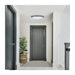Flush Mount Nuvo 62-1981 Glamour - LED 32 Inch Oval Flush Mount - Black Finish - 27K/3K/35K/4K/5K CCT Selectable Nuvo
