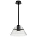 Pendant Nuvo 62-2061 Edmond - 14 Inch LED Pendant - Matte Black with Clear Glass Nuvo