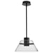 Pendant Nuvo 62-2061 Edmond - 14 Inch LED Pendant - Matte Black with Clear Glass Nuvo