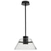Pendant Nuvo 62-2061 Edmond - 14 Inch LED Pendant - Matte Black with Clear Glass Nuvo