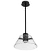 Pendant Nuvo 62-2061 Edmond - 14 Inch LED Pendant - Matte Black with Clear Glass Nuvo