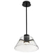 Pendant Nuvo 62-2061 Edmond - 14 Inch LED Pendant - Matte Black with Clear Glass Nuvo