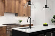 Pendant Nuvo 62-2061 Edmond - 14 Inch LED Pendant - Matte Black with Clear Glass Nuvo