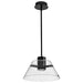 Pendant Nuvo 62-2061 Edmond - 14 Inch LED Pendant - Matte Black with Clear Glass Nuvo
