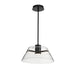 Pendant Nuvo 62-2062 Edmond - 17 Inch LED Pendant - Matte Black with Clear Glass Nuvo