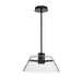 Pendant Nuvo 62-2062 Edmond - 17 Inch LED Pendant - Matte Black with Clear Glass Nuvo