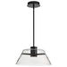 Pendant Nuvo 62-2062 Edmond - 17 Inch LED Pendant - Matte Black with Clear Glass Nuvo