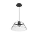 Pendant Nuvo 62-2062 Edmond - 17 Inch LED Pendant - Matte Black with Clear Glass Nuvo