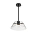 Pendant Nuvo 62-2062 Edmond - 17 Inch LED Pendant - Matte Black with Clear Glass Nuvo