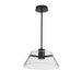 Pendant Nuvo 62-2062 Edmond - 17 Inch LED Pendant - Matte Black with Clear Glass Nuvo