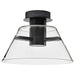 Semi Flush Nuvo 62-2063 Edmond - 14 Inch LED Semi Flush - Matte Black with Clear Glass Nuvo