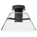 Semi Flush Nuvo 62-2063 Edmond - 14 Inch LED Semi Flush - Matte Black with Clear Glass Nuvo