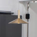 Pendant Nuvo 62-2091 Corrine - 10 Inch LED Pendant - Burnished Brass - 3K/4K/5K CCT Selectable Nuvo