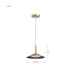 Pendant Nuvo 62-2091 Corrine - 10 Inch LED Pendant - Burnished Brass - 3K/4K/5K CCT Selectable Nuvo