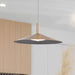 Pendant Nuvo 62-2093 Corrine - 18 Inch LED Pendant - Burnished Brass - 3K/4K/5K CCT Selectable Nuvo