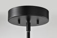 Pendant Nuvo 62-2151 Blaine - 13 Inch LED Pendant - Matte Black - Acrylic Lens Nuvo