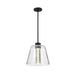 Pendant Nuvo 62-2172 Aura - 12 Inch LED Pendant - Matte Black - K9 Bubble Crystal - 3000K CCT Nuvo