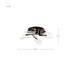 Flush Mount Nuvo 62-2284 Sedona - 22 Inch LED Flush Mount - Matte Black - Silk Screened Acrylic Lens Nuvo