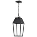 Pendant Nuvo 62-2314 Colt - 10 Watt - LED Hanging Pendant - Matte Black Finish Nuvo