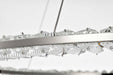 Pendant Nuvo 62-2447 Nova - LED 36 Inch Round Pendant - Polished Nickel Finish - K9 Crystal Nuvo