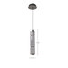 Pendant Nuvo 62-2451 Evander - LED 16 Inch Mini Pendant - Matte Black Finish - Smoked Glass Nuvo
