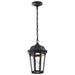 Pendant Nuvo 62-5944 East River Collection - 1 Light Outdoor Hanging Fixture - LED - SMART - Starfish RGBTW - CCT Selectable - Matte Black - Clear Water Glass Nuvo