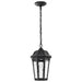 Pendant Nuvo 62-5944 East River Collection - 1 Light Outdoor Hanging Fixture - LED - SMART - Starfish RGBTW - CCT Selectable - Matte Black - Clear Water Glass Nuvo