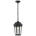 Pendant Nuvo 62-5944 East River Collection - 1 Light Outdoor Hanging Fixture - LED - SMART - Starfish RGBTW - CCT Selectable - Matte Black - Clear Water Glass Nuvo