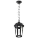Pendant Nuvo 62-5944 East River Collection - 1 Light Outdoor Hanging Fixture - LED - SMART - Starfish RGBTW - CCT Selectable - Matte Black - Clear Water Glass Nuvo