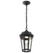 Pendant Nuvo 62-5944 East River Collection - 1 Light Outdoor Hanging Fixture - LED - SMART - Starfish RGBTW - CCT Selectable - Matte Black - Clear Water Glass Nuvo