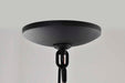 Pendant Nuvo 62-5944 East River Collection - 1 Light Outdoor Hanging Fixture - LED - SMART - Starfish RGBTW - CCT Selectable - Matte Black - Clear Water Glass Nuvo