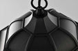 Pendant Nuvo 62-5944 East River Collection - 1 Light Outdoor Hanging Fixture - LED - SMART - Starfish RGBTW - CCT Selectable - Matte Black - Clear Water Glass Nuvo