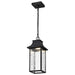 Pendant Nuvo 62-5996 Austen Collection - 1 Light Outdoor Hanging Fixture - LED - SMART - Starfish RGBTW - CCT Selectable - Matte Black - Clear Water Glass Nuvo