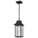 Pendant Nuvo 62-5996 Austen Collection - 1 Light Outdoor Hanging Fixture - LED - SMART - Starfish RGBTW - CCT Selectable - Matte Black - Clear Water Glass Nuvo