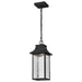 Pendant Nuvo 62-5996 Austen Collection - 1 Light Outdoor Hanging Fixture - LED - SMART - Starfish RGBTW - CCT Selectable - Matte Black - Clear Water Glass Nuvo