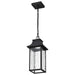 Pendant Nuvo 62-5996 Austen Collection - 1 Light Outdoor Hanging Fixture - LED - SMART - Starfish RGBTW - CCT Selectable - Matte Black - Clear Water Glass Nuvo