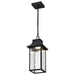 Pendant Nuvo 62-5996 Austen Collection - 1 Light Outdoor Hanging Fixture - LED - SMART - Starfish RGBTW - CCT Selectable - Matte Black - Clear Water Glass Nuvo