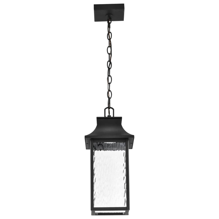 Pendant Nuvo 62-5996 Austen Collection - 1 Light Outdoor Hanging Fixture - LED - SMART - Starfish RGBTW - CCT Selectable - Matte Black - Clear Water Glass Nuvo
