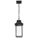 Pendant Nuvo 62-5996 Austen Collection - 1 Light Outdoor Hanging Fixture - LED - SMART - Starfish RGBTW - CCT Selectable - Matte Black - Clear Water Glass Nuvo